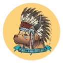 Pitting Bull stickers