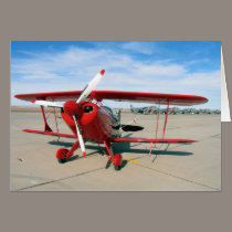 Pitts 08 2 cards