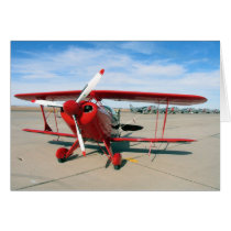 Pitts 08 2 greeting cards