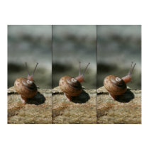 Pitts n'Tenney Snail posters by emagery Pitts n'Tenney Snail posters