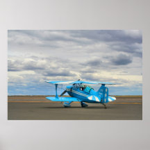 Pitts S1C Print
