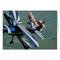 Pitts Special Cards