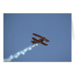 Pitts Special, Flying cards