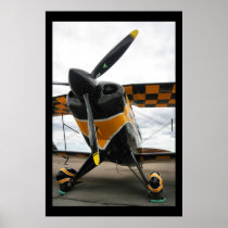 Pitts Special Poster