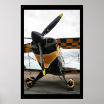 Pitts Special Poster