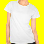 Pittsburgh Passion Ladies T-shirt t-shirts