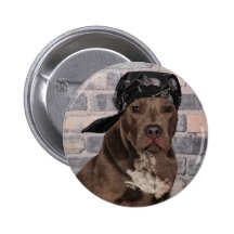 Pitty duro pins