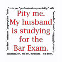 Pity me...husband shirt
