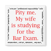 Pity me...wife magnets by lawstuff Pity me...wife magnets