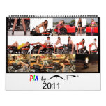 PIX by MP 2011 Calendar