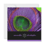 PixDezine Psychedelic Peacock feather Announcement
