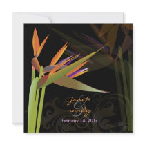 PixDezines Bird of Paradise/DIY background color! Personalized Announcements
