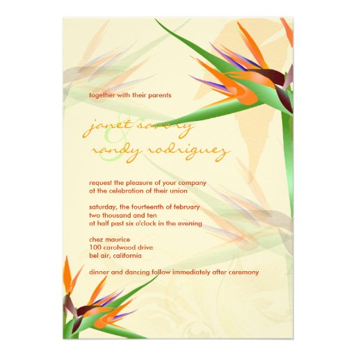 PixDezines Bird of Paradise/diy background color! Personalized Announcements