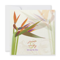 PixDezines bird of paradise/diy colors+fonts Personalized Announcement