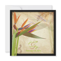 PixDezines Bird of Paradise/vintage background Custom Announcements