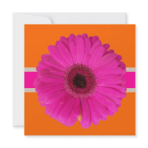 PixDezines Gerbera, pink/diy background/event! Custom Invitation