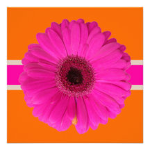 PixDezines Gerbera, pink/diy background/event! Custom Invitation