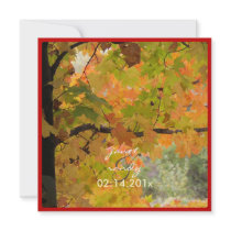 PixDezines In the Woods 2, diy fall events Custom Announcement