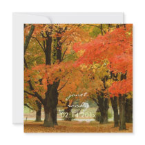 PixDezines in the woods, fall weddings/DIY events Announcement