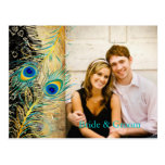 PixDezines lace peacock/DIY event+background color postcards