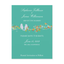 PixDezines love birds/diy background color! Postcard