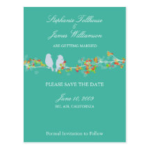 PixDezines love birds/diy background color! Postcard