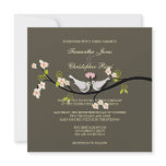 PixDezines love doves ~ DIY background Personalized Invitations