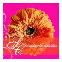 PixDezines orange Gerbera/diy pink background Invitations