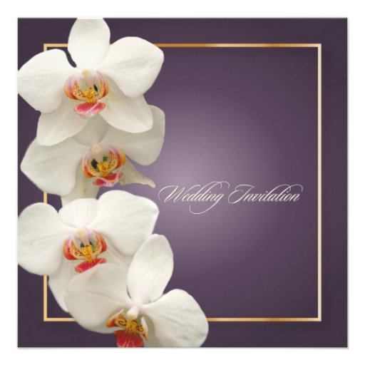 PixDezines orchids/phalaenopsis Announcement