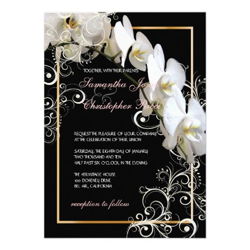 PixDezines orchids/phalaenopsis Announcement