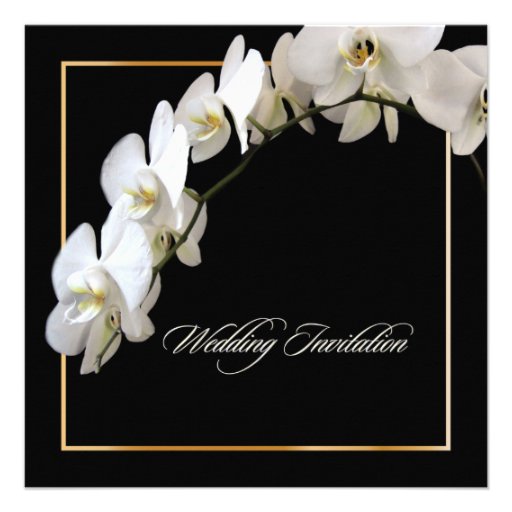 PixDezines orchids/phalaenopsis Custom Invitation