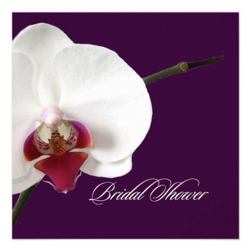 PixDezines orchids/phalaenopsis Personalized Invites
