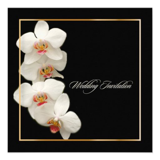 PixDezines orchids/phalaenopsis Personalized Invite
