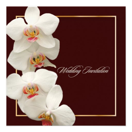 PixDezines orchids/phalaenopsis Personalized Announcements