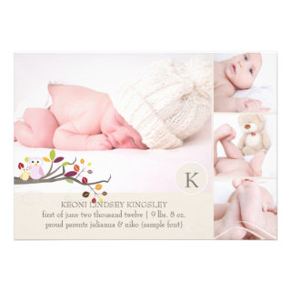 PixDezines owl photo template birth announcement