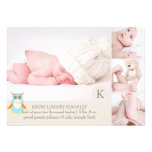 PixDezines owl photo template birth announcement invitations