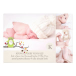 PixDezines owl photo template birth announcement invitations