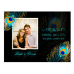 PixDezines peacock/DIY event+background color postcards