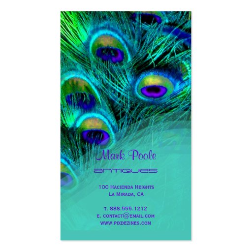 PixDezines Peacock feather business cards (back side)