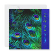 PixDezines Peacock Feather/cobalt invitation
