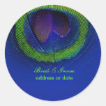 PixDezines Peacock Feather/diy background color stickers