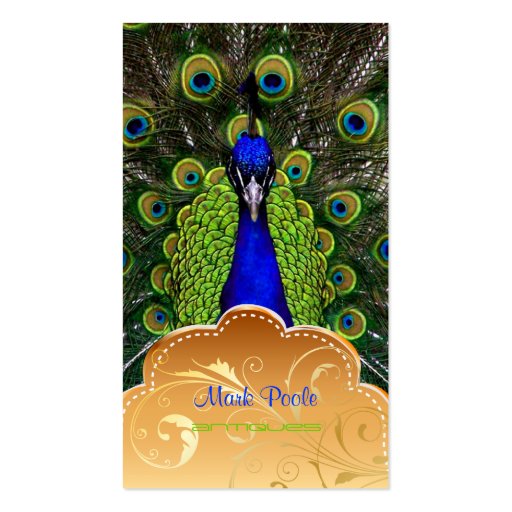 PixDezines Peacock+filigree swirls Business Card Templates (front side)