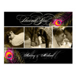 PixDezines Peacock Wedding Photos Thank you postcards