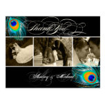 PixDezines Peacock Wedding Photos Thank you postcards