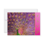 PixDezines Proud Peacock Feather for longevity Personalized Invites