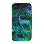 PixDezines Psychedelic Peacock, BB iPhone 4 Cover