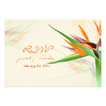 PixDezines rsvp Bird of Paradise/DIY color Custom Announcement