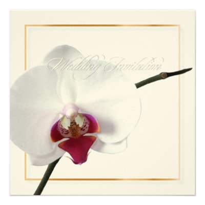PixDezines White Orchid 2 | Perfect Bride Personalized Invite