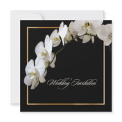 PixDezines White Orchid / Bridal/Wedding