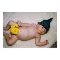 PIXIE BOY posters by wendybandurskimiller PIXIE BOY posters